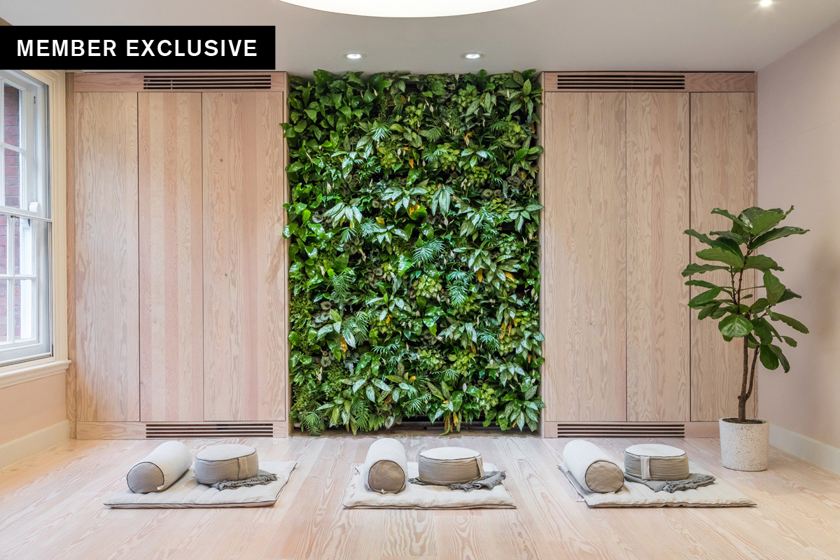 Designing for Nature Connections and Wellness